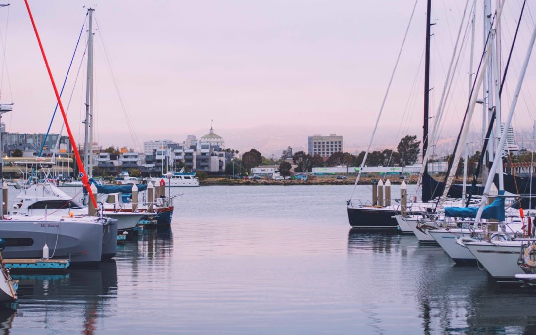 Fresh Life: Redefining Lifestyles with a Water-Inspired Touch
